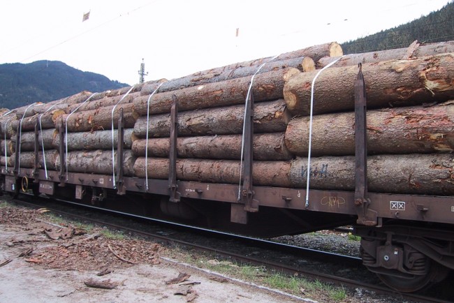 Rundholz von Habersatter & Wieser